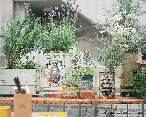 Zxԏጿ (2)