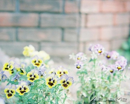 Zxԏጿ (4)