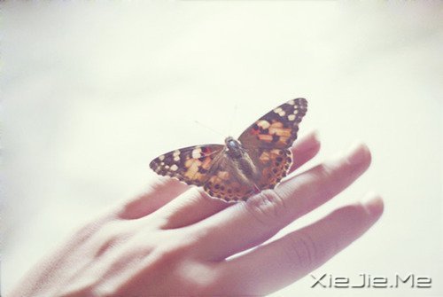 rgH׌㿴͸eˣҲ׌J(rn)Լ (4)