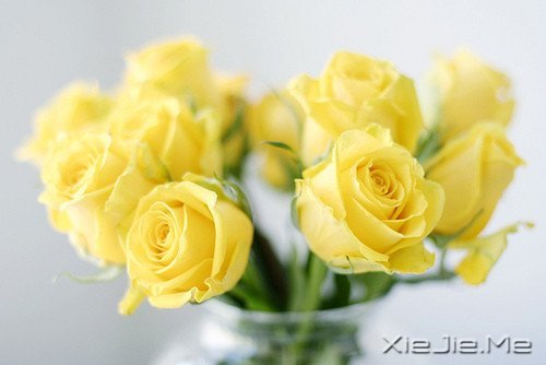 ZD(zhun)_ʼ (1)