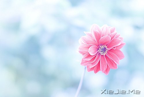 ZD(zhun)_ʼ (2)