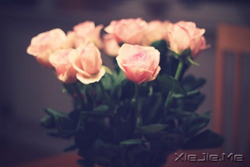 ZD(zhun)_ʼ (3)