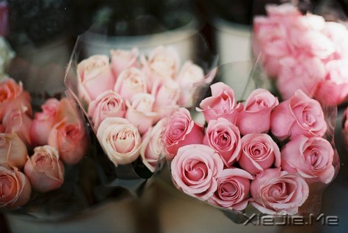 ZD(zhun)_ʼ (5)