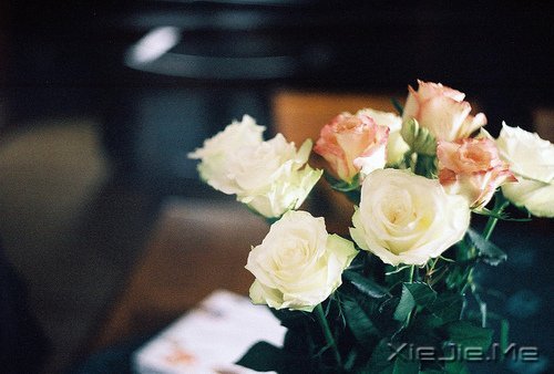 ZD(zhun)_ʼ (6)