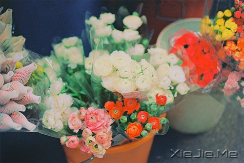 (mng)ps˓w{(ln) (3)