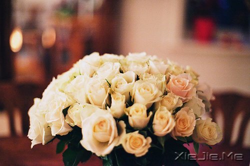 ZD(zhun)_ʼ (8)