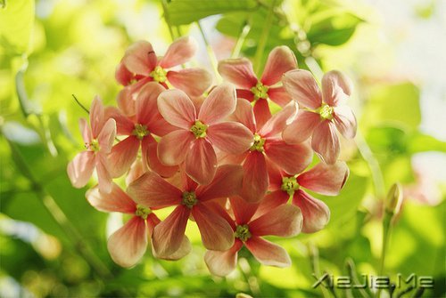 ZD(zhun)_ʼ (9)