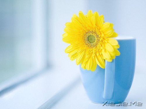 ZD(zhun)_ʼ (10)