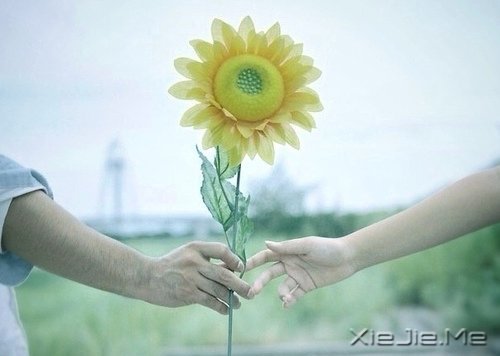 ڕr(sh)gĶɿ҂^ (2)