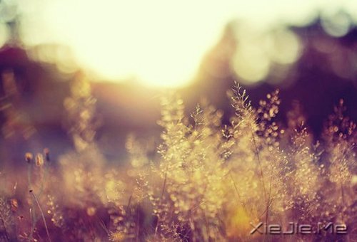 ڕr(sh)gĶɿڣ҂^ (6)