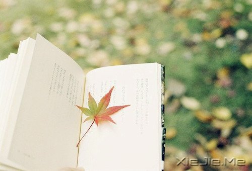 ڕr(sh)gĶɿ҂^ (7)