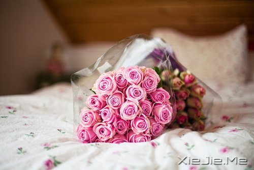 ZҪһֱܺ (3)