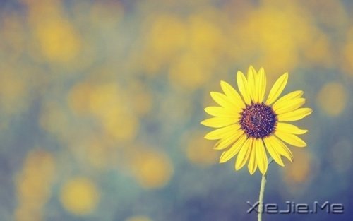 ZҪһֱܺ (4)