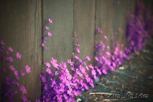 ZҪһֱܺ (5)