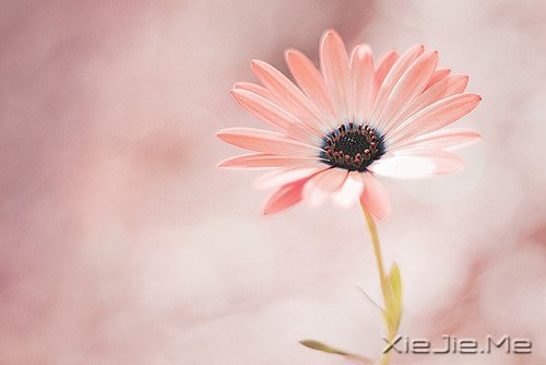 簲ZҪq¶o (1)