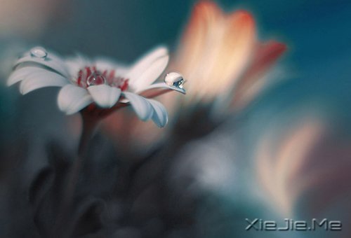 簲Zrgҧˣ㲻߾͕M (4)