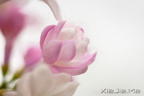 簲ZҪģq¶o (7)