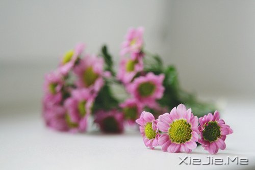 簲ZҪģq¶o (10)
