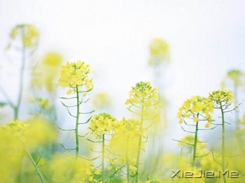 簲ZҪq¶o (9)