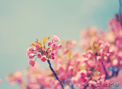 @ɽLˮhĵ·KҪԼȥ (2)
