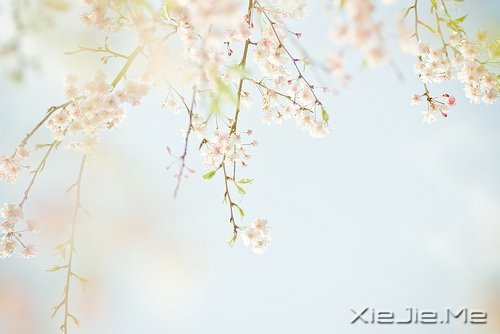 @ɽLˮhĵ·KҪԼȥ (3)