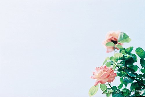 @ɽLˮhĵ·KҪԼȥ (4)