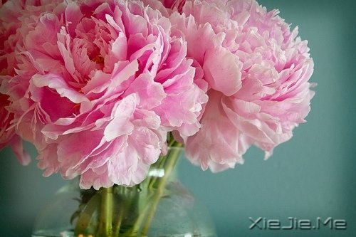 @ɽLˮhĵ·KҪԼȥ (5)