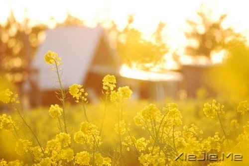 @ɽLˮhĵ·KҪԼȥ (6)