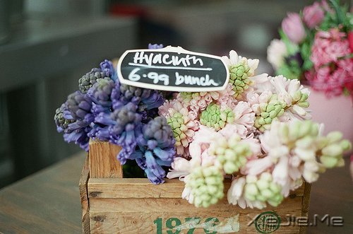 @ɽLˮhĵ·KҪԼȥ (7)