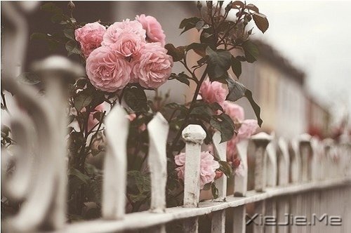 @ɽLˮhĵ·KҪԼȥ (8)