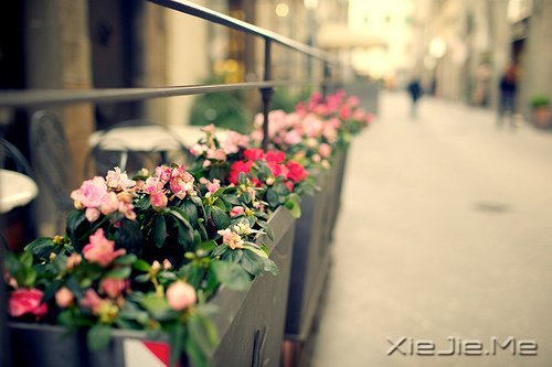 @ɽLˮhĵ·KҪԼȥ (9)
