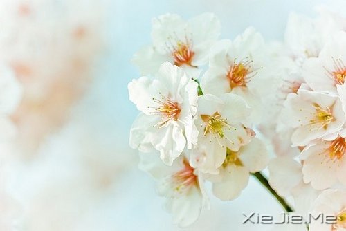 ǽKcՈ΢Цһֱǰ (2)