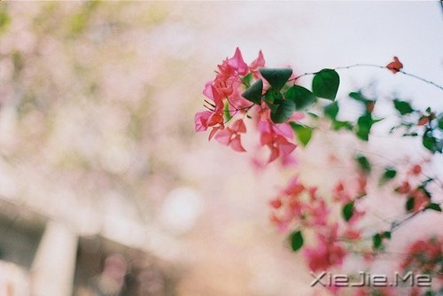 ǽKcՈ΢Цһֱǰ (3)