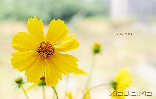 m(dng)?sh)ķŗ?yu)ŵD(zhun) (1)