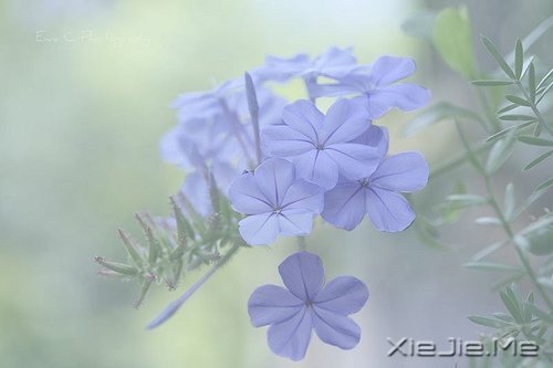 m(dng)?sh)ķŗ?yu)ŵD(zhun) (6)