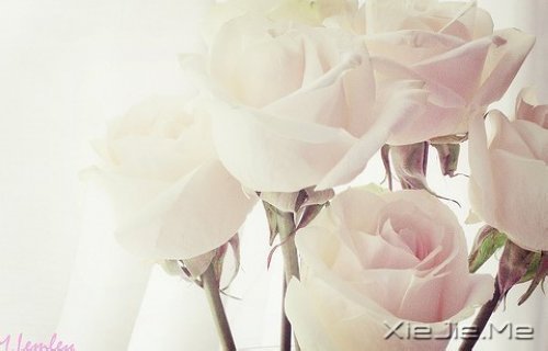 m(dng)?sh)ķŗ?yu)ŵD(zhun) (8)