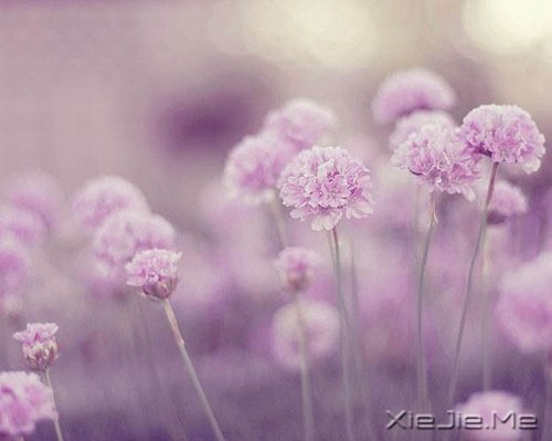 m(dng)?sh)ķŗ?yu)ŵD(zhun) (9)