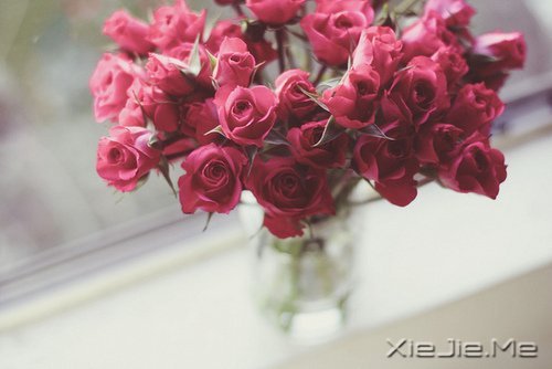 簲ZȻһ矟 (1)