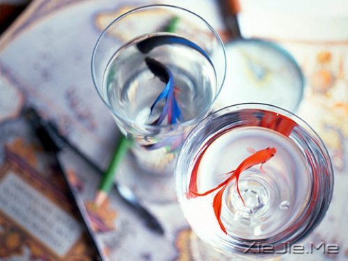 簲ZȻһУ矟 (5)