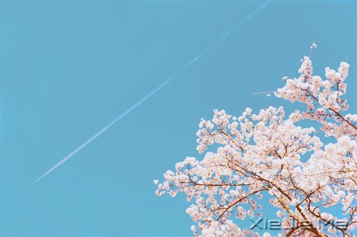 ͯδһֵ (10)