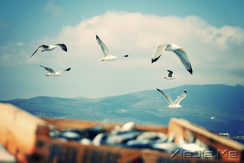 ͯδһֵ (7)