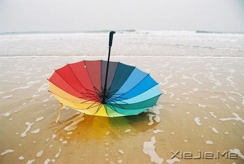 簲ZҪ댍F(xin)ȏĉс (3)