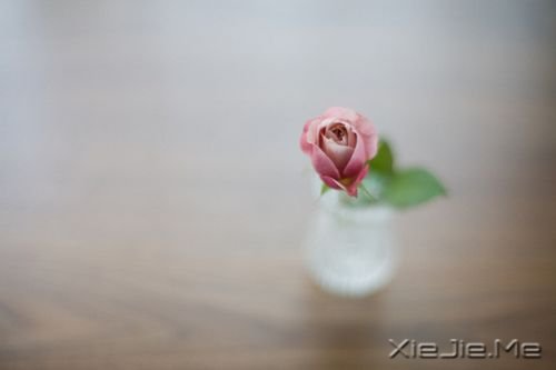 簲ZҪ댍F(xin)ȏĉс (4)