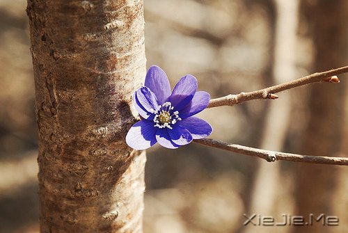 Zʰ飬· (2)