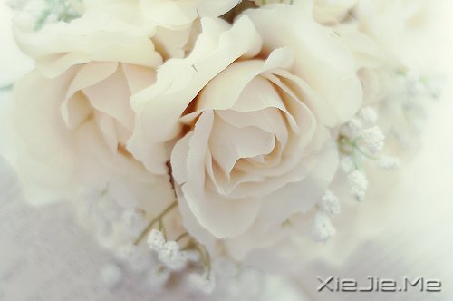 Zʰ· (6)