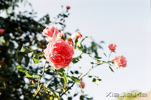 Zʰ飬· (7)
