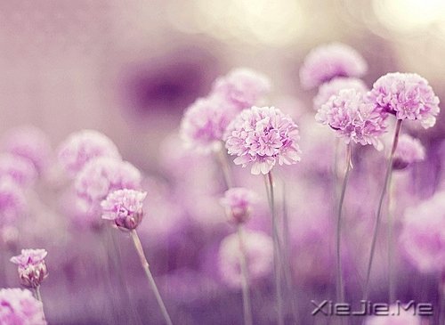 Zʰ飬· (9)