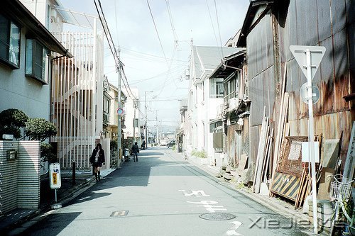 簲ZԼҪ (6)