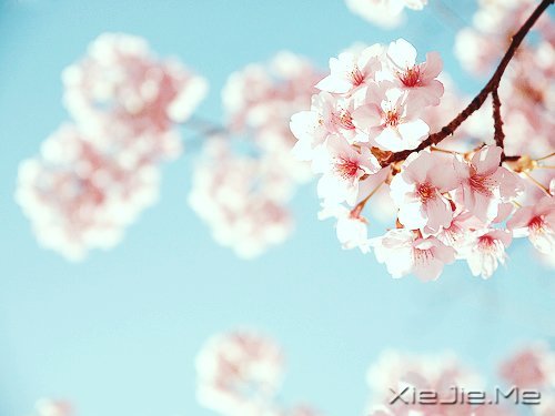 Z΢ЦȥȴõԼ (5)
