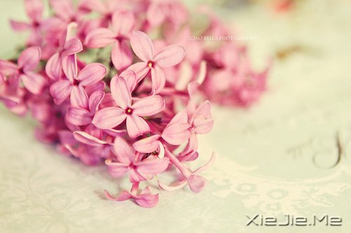 Z΢ЦȥȴõԼ (6)